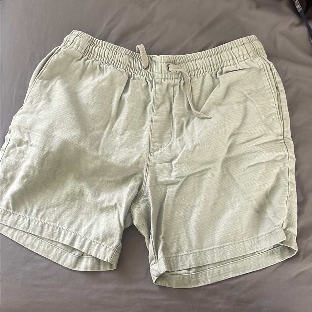 Men's Light Green Volley shorts